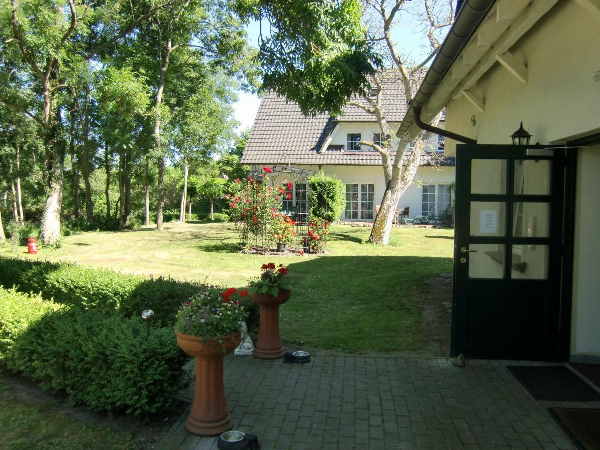 Auszeit Auf Rugen Haus Nr. 8 Appartement Nardevitz Kamer foto
